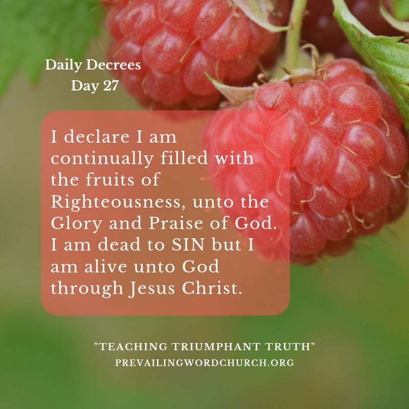Daily Decrees 27