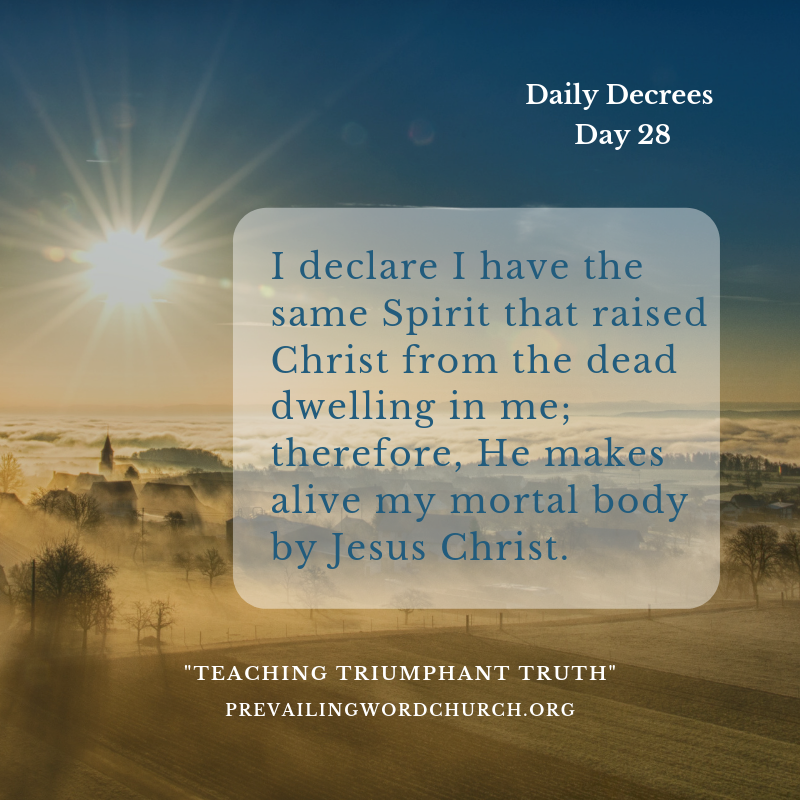 Daily Decrees 28