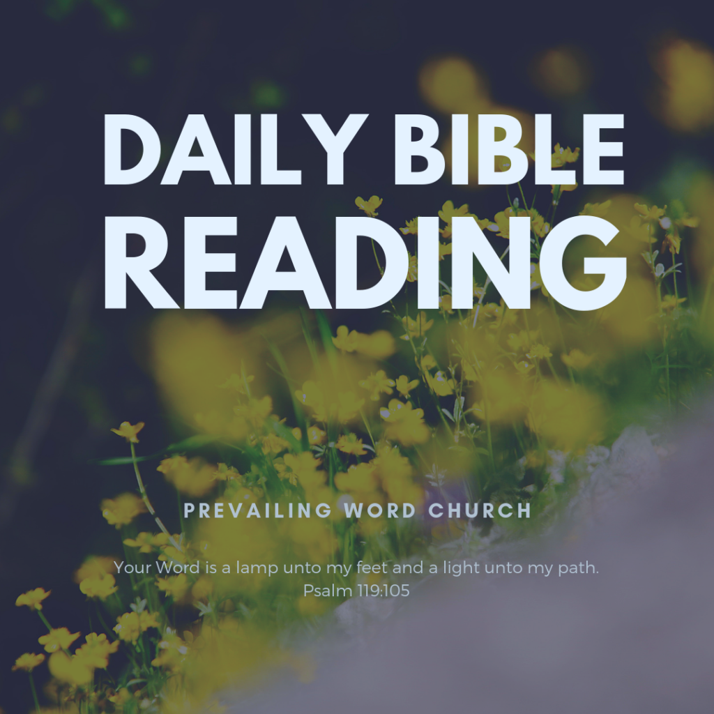 DAILY BIBLE READING